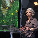 zum Vergrößern klicken